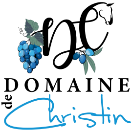 Domain of Christin