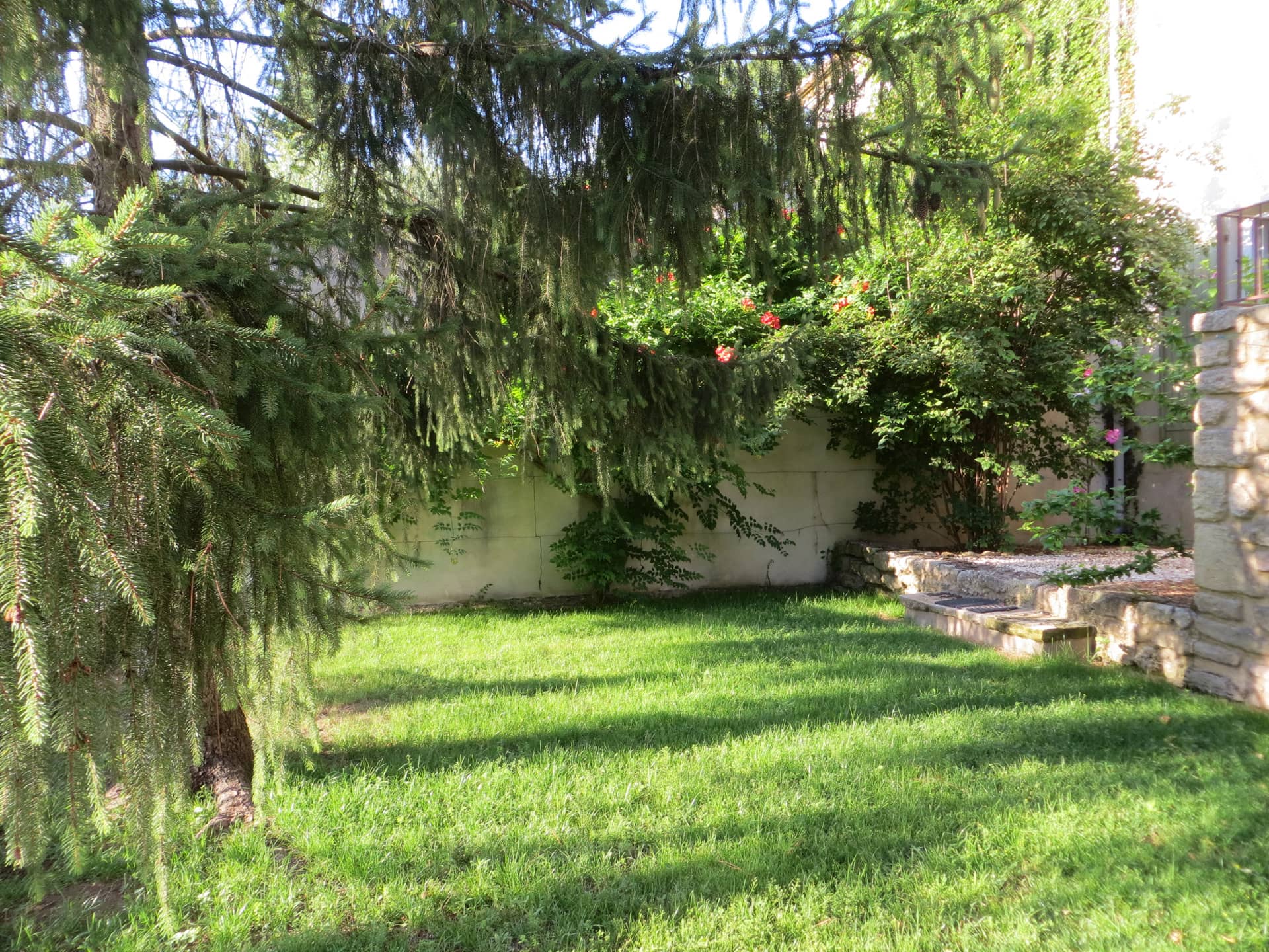 Pines cottage exteriour