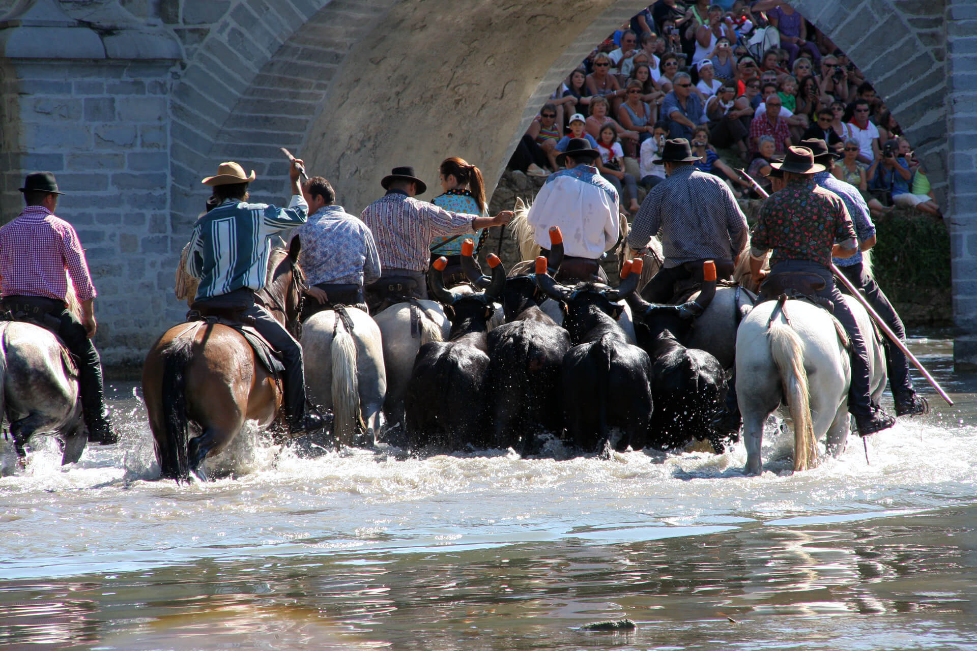 Votive festival, abrivado