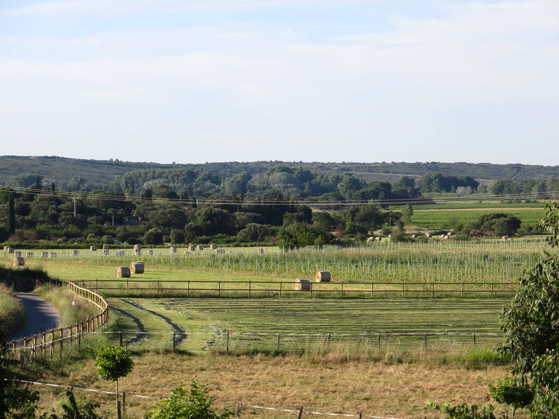 Les prairies