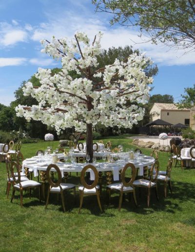 Table joliment dressée autour d'un arbre