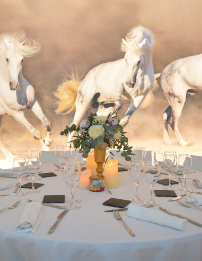 Table joliment dressée avec vue chevaux