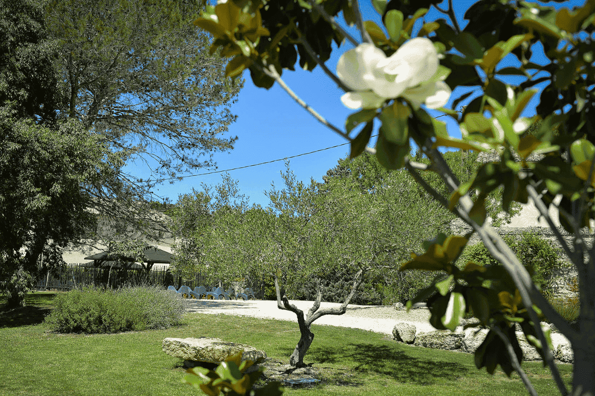 outdoor space Belvédère - Private Events South France