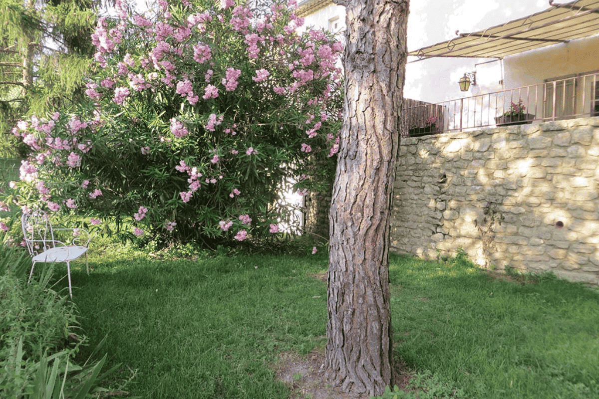 espace extérieur en bas de la terrasse du gîte