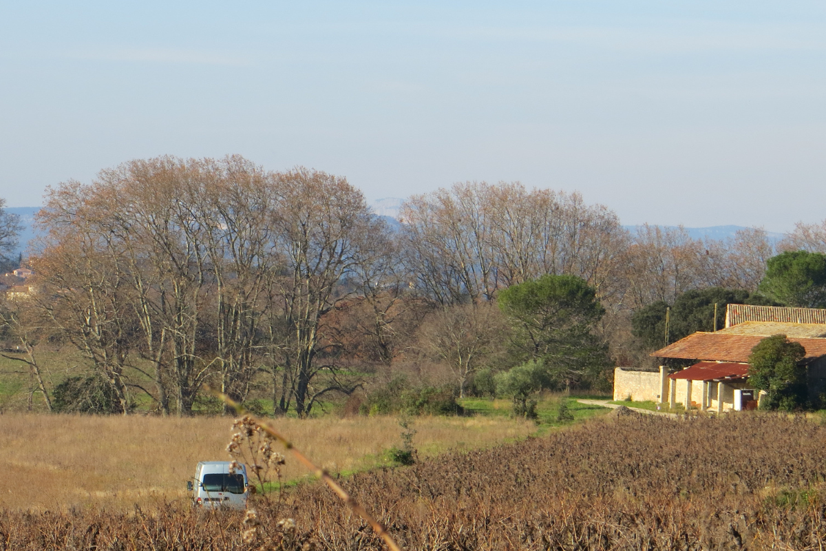 le Domaine au tout début - Histoire Domaine de Christin