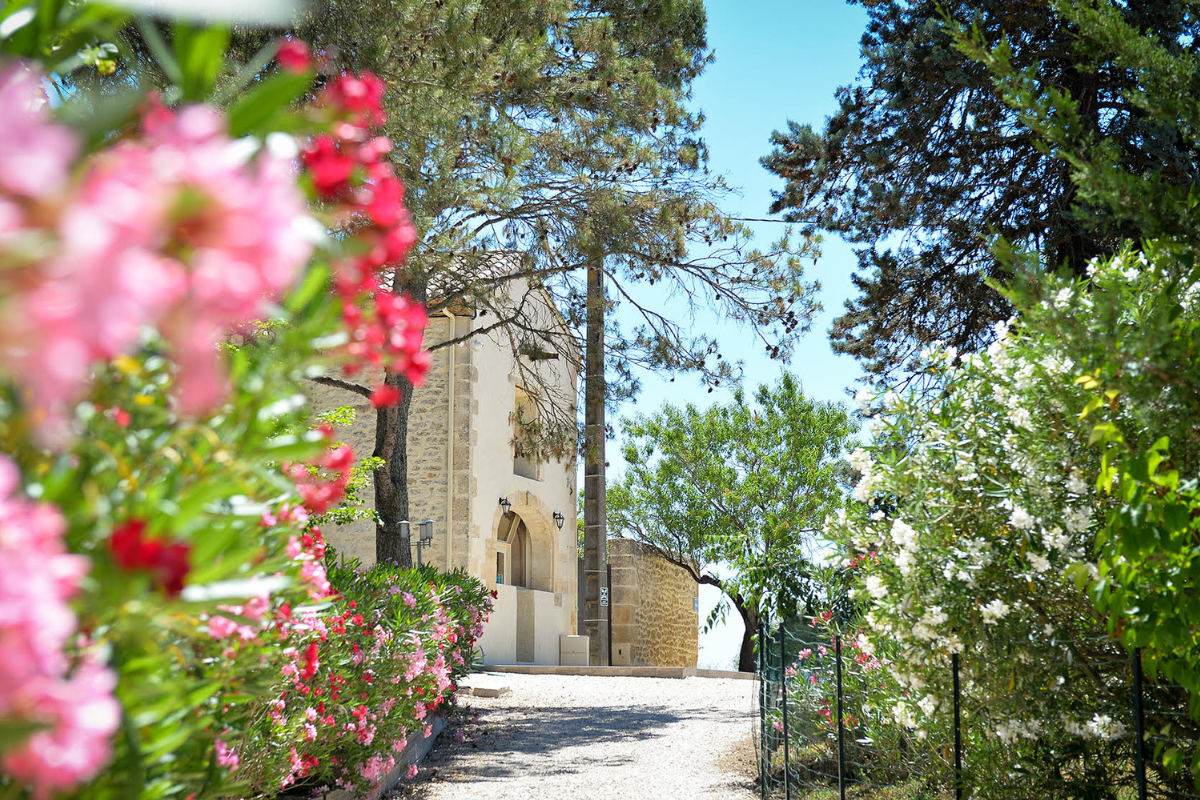 une allée du domaine avec des lauriers